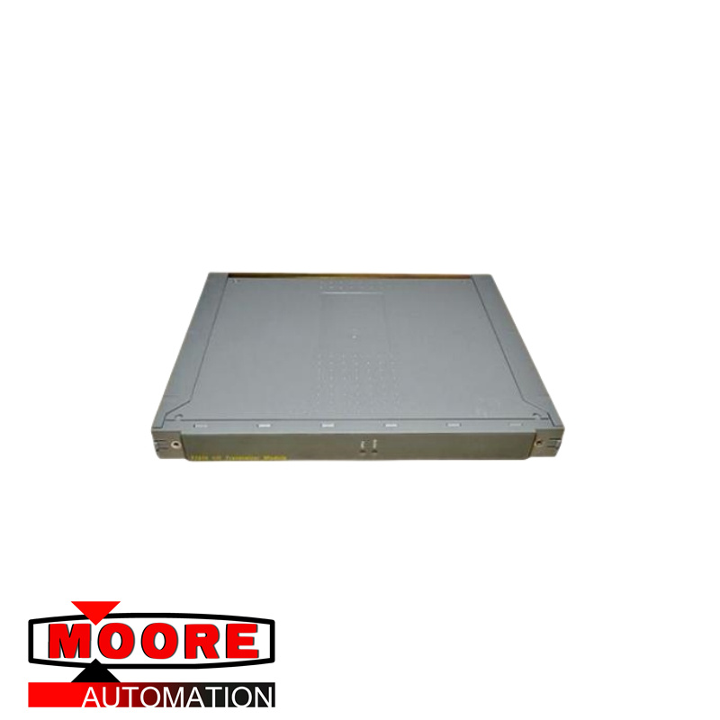 Module ICS TRIPLEX T9191