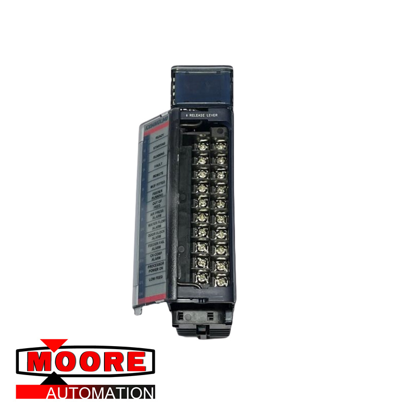 GE IC694MDL940F Module de sortie