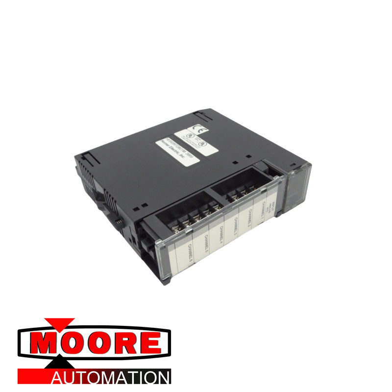 HORNER AUTOMATISATION HE693RTD601R MODULE D'ENTRÉE