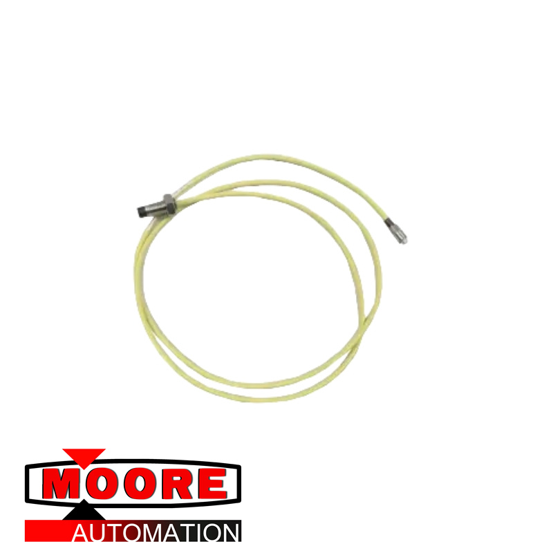 Bently Nevada 21504-000-008-10-02 Sonde à montage standard de 5 mm et 8 mm