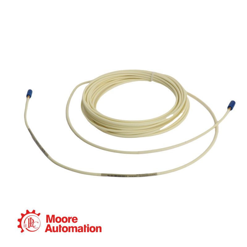 Rallonge de sonde de proximité Bently Nevada 21747-075-01