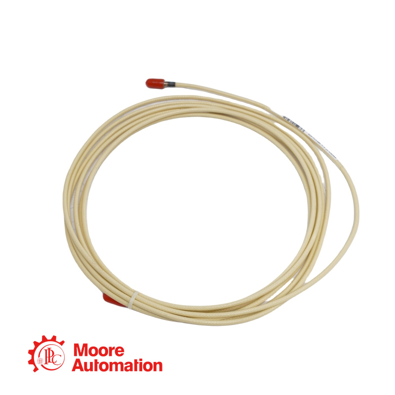 Rallonge de sonde de proximité Bently Nevada 21747-075-00