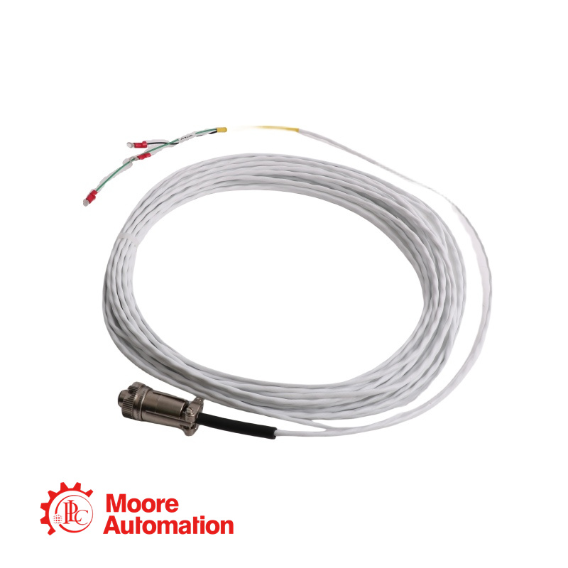 Câble d'interconnexion Bently Nevada 9571-20