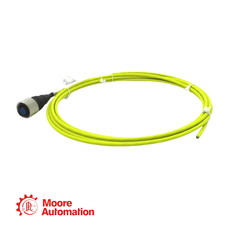 Câble d'interconnexion Bently Nevada CB2W100-032