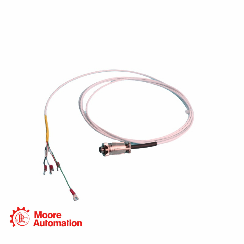 Câble d'interconnexion standard Bently Nevada 16925-35