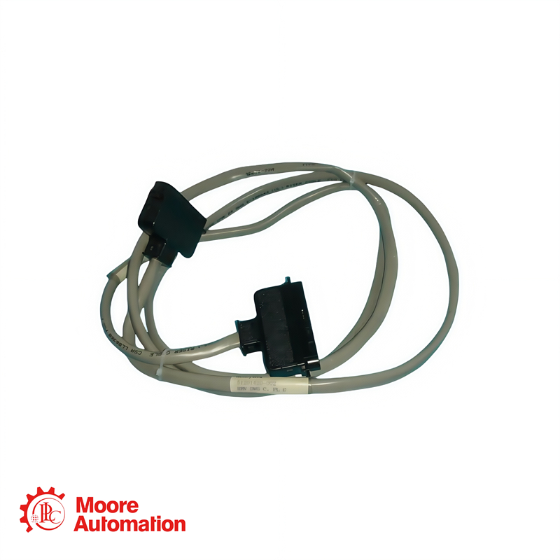 Câble d'assemblage de terminaison de terrain UCN HONEYWELL 51201420-002