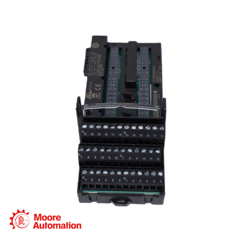 GE IC200CHS022L Compact I/O carrier